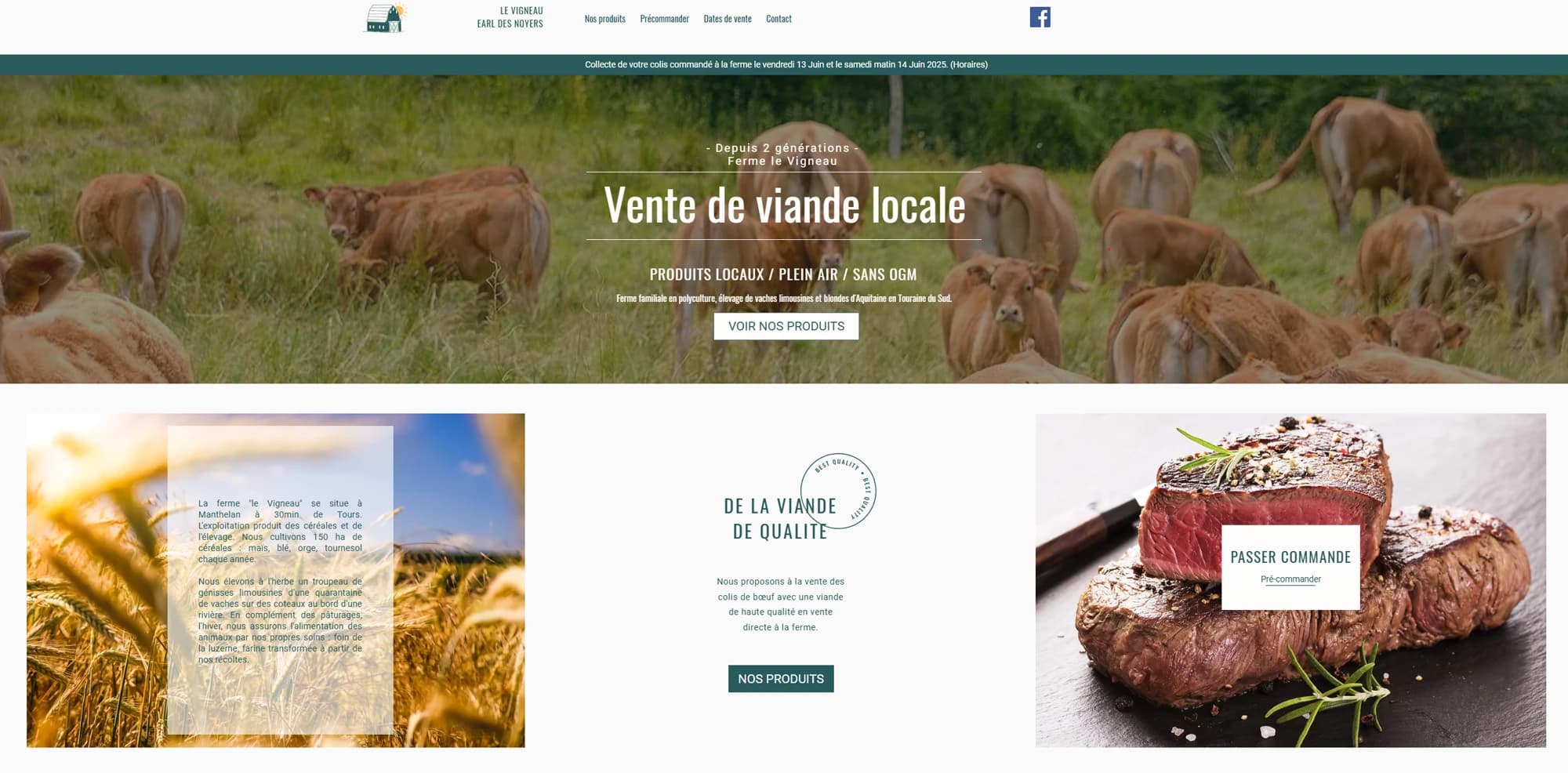 Capture du site Vigneau réalisé par Chill Studio